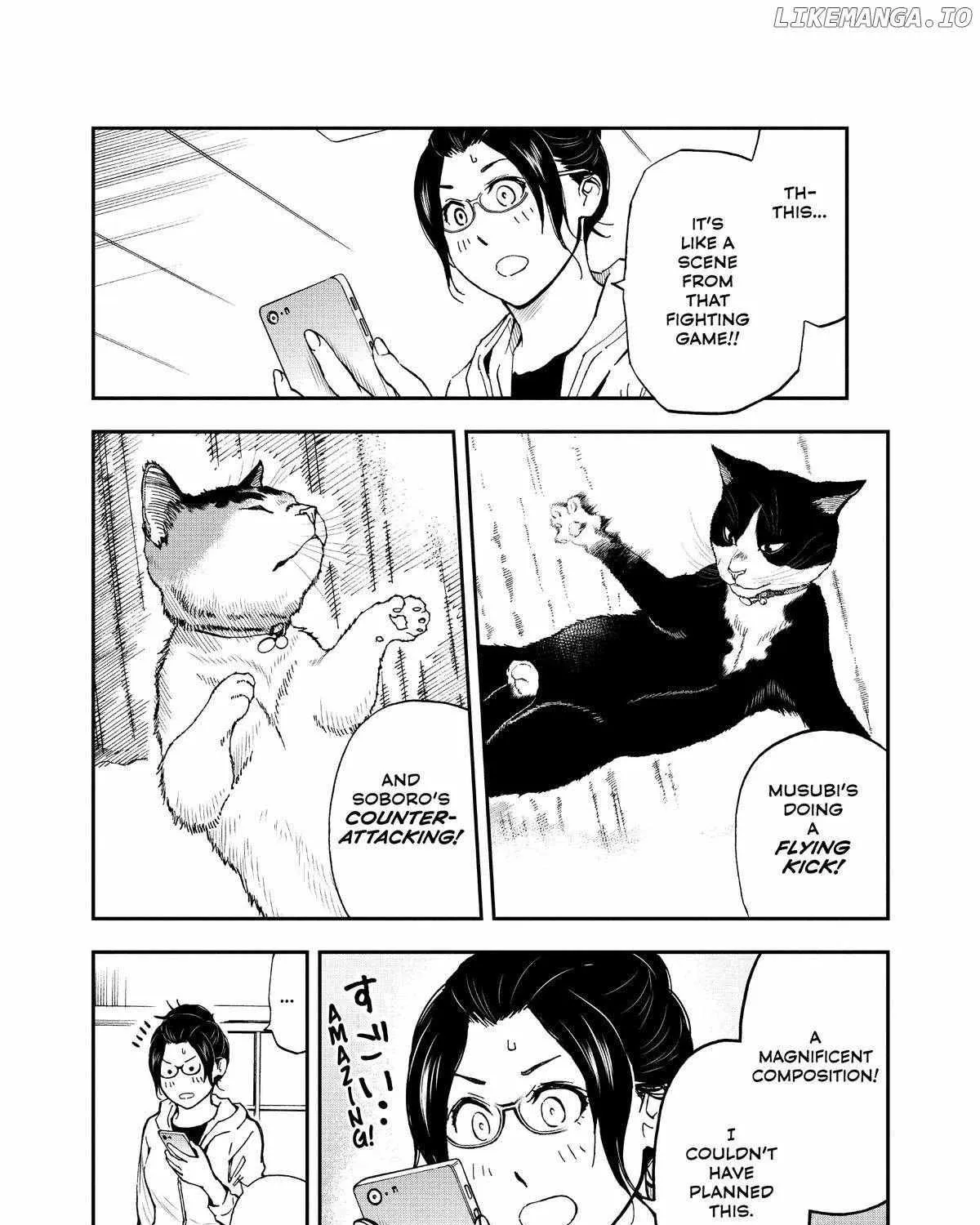 A Gamer Living with a Cat Chapter 37 page 16 - 
