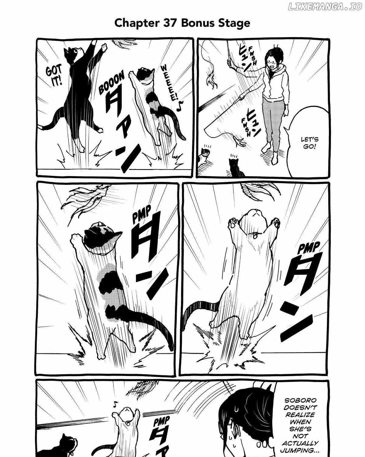 A Gamer Living with a Cat Chapter 37 page 34 - 