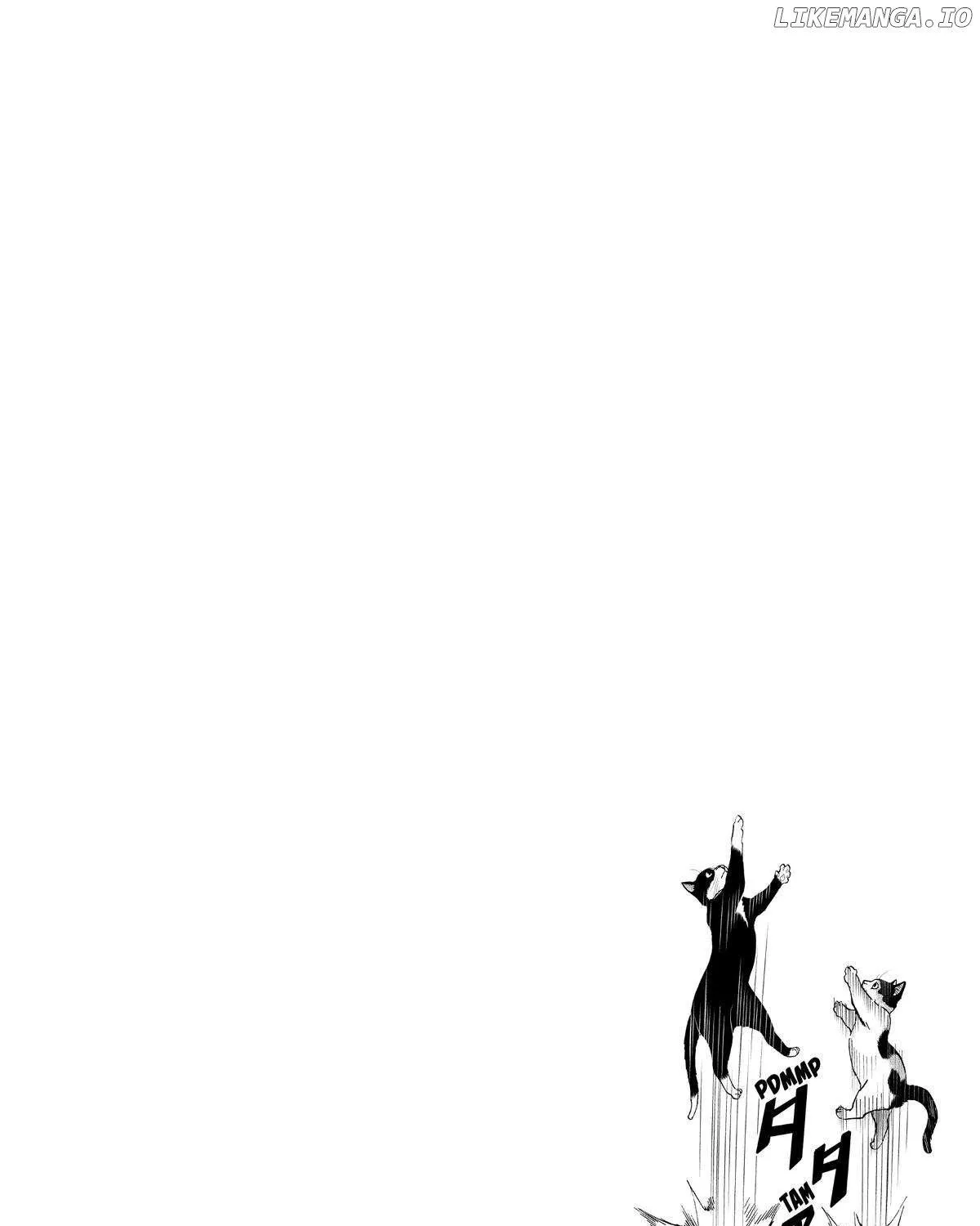 A Gamer Living with a Cat Chapter 37 page 36 - 