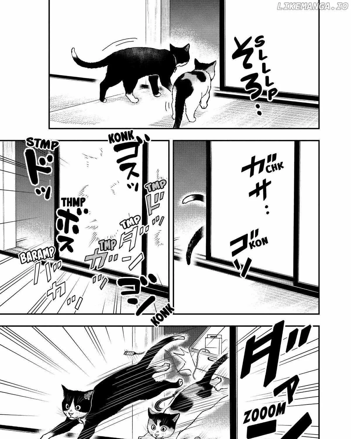 A Gamer Living with a Cat Chapter 38 page 13 - 