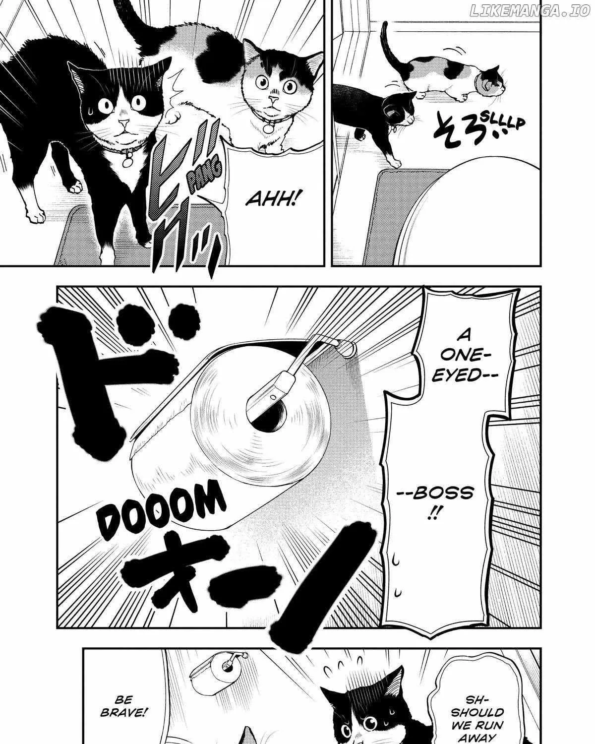 A Gamer Living with a Cat Chapter 38 page 17 - 