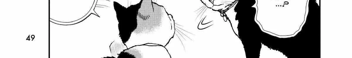 A Gamer Living with a Cat Chapter 38 page 18 - 