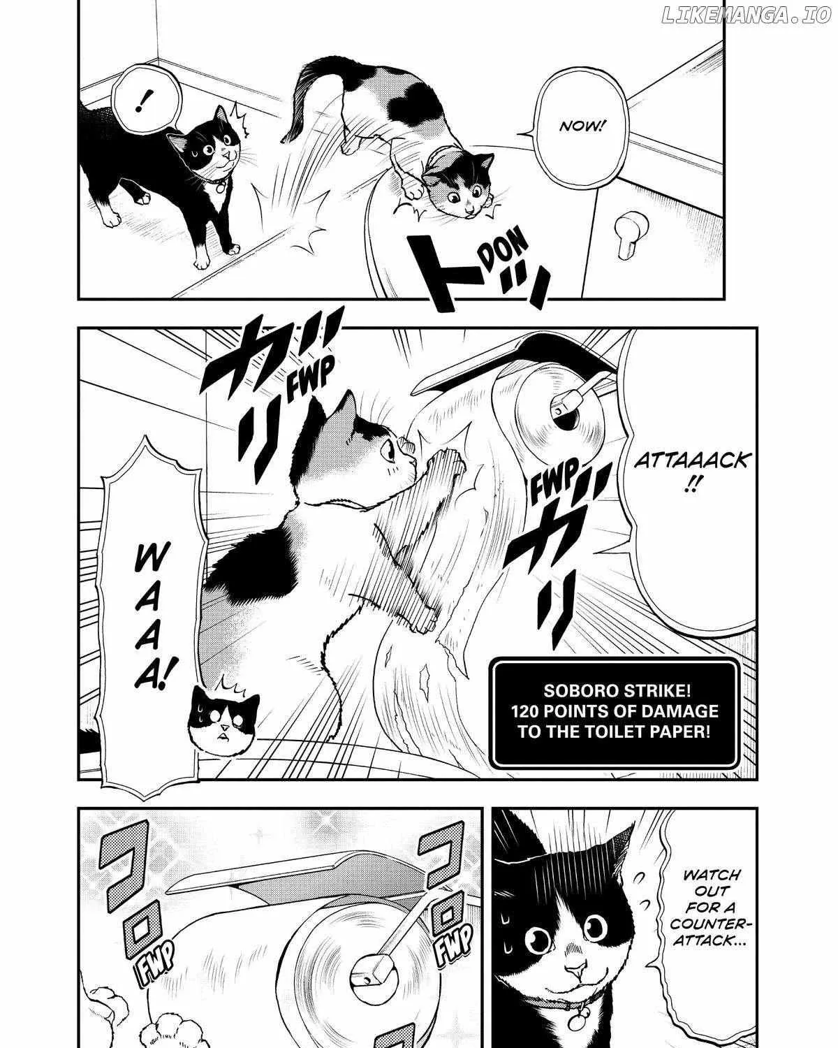 A Gamer Living with a Cat Chapter 38 page 19 - 