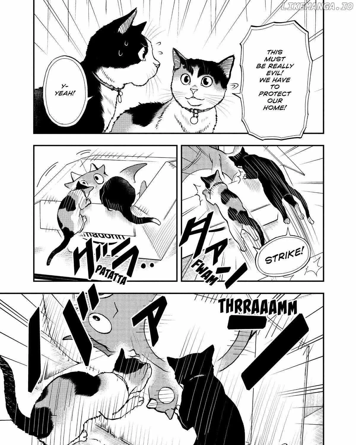 A Gamer Living with a Cat Chapter 38 page 29 - 
