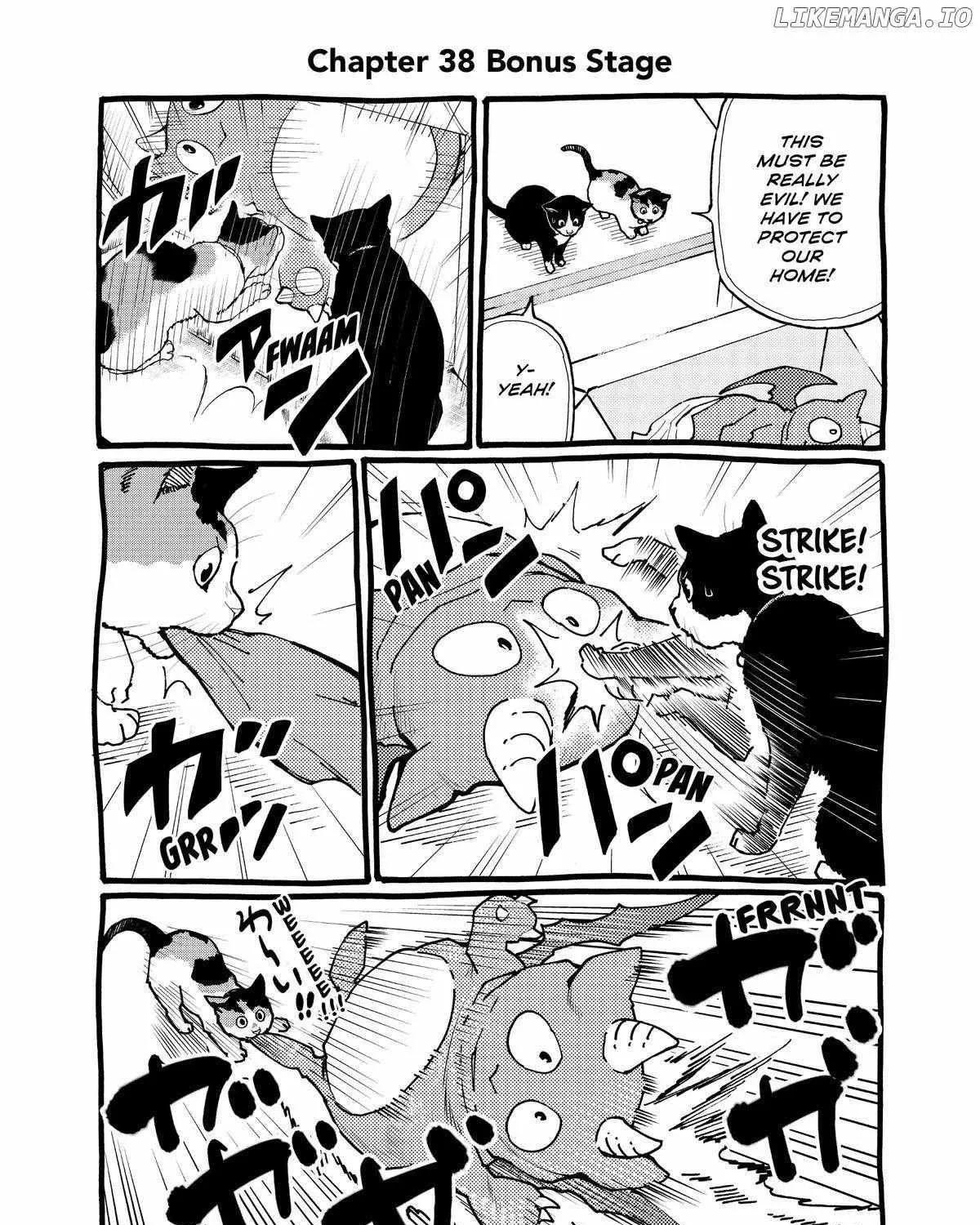 A Gamer Living with a Cat Chapter 38 page 37 - 