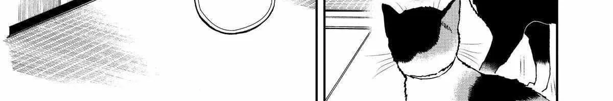 A Gamer Living with a Cat Chapter 38 page 10 - 