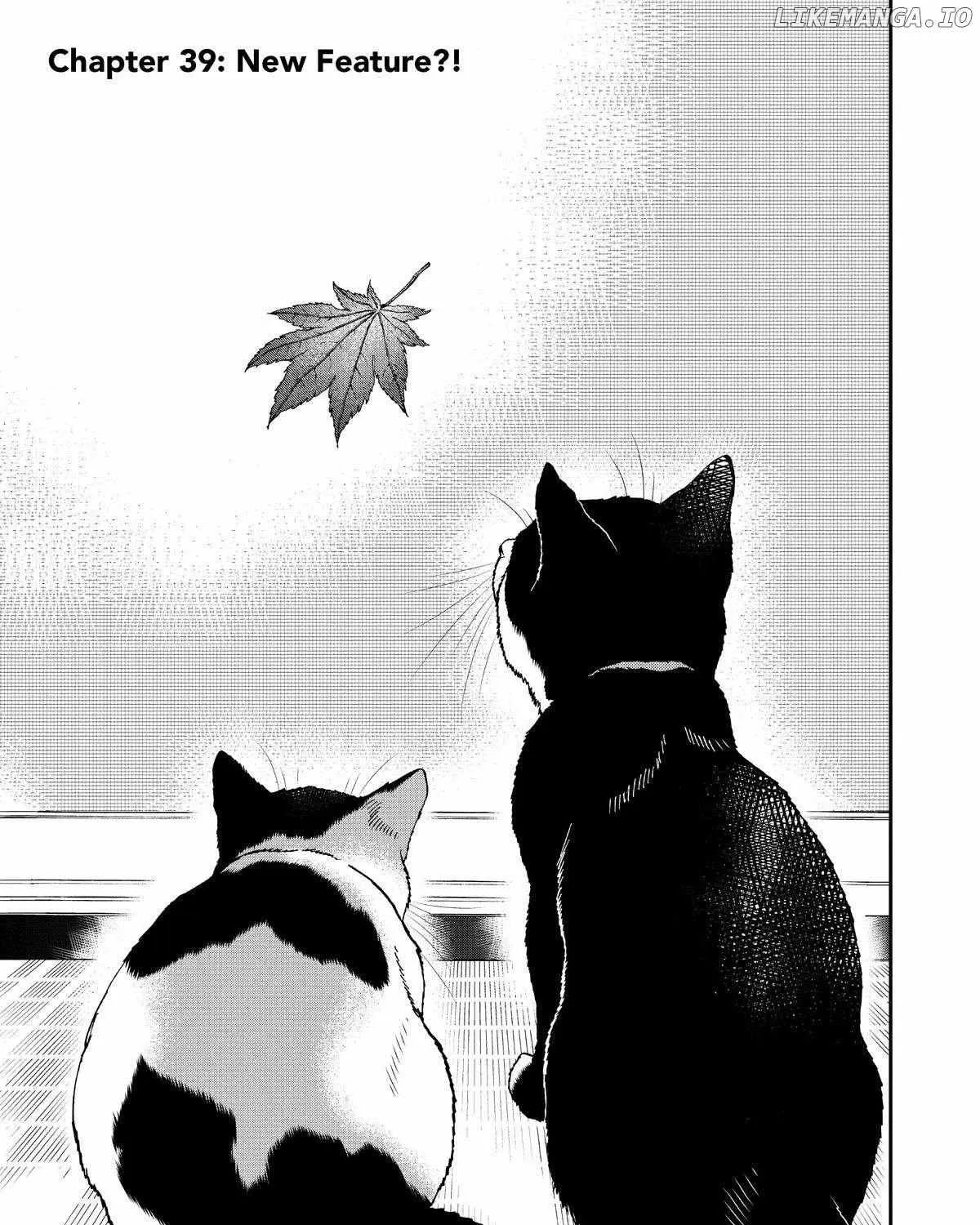 A Gamer Living with a Cat Chapter 39 page 2 - 