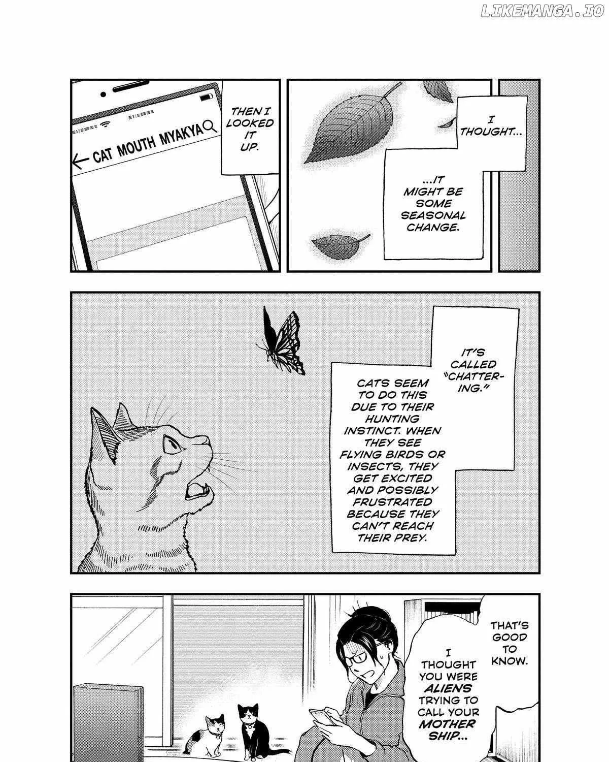 A Gamer Living with a Cat Chapter 39 page 20 - 