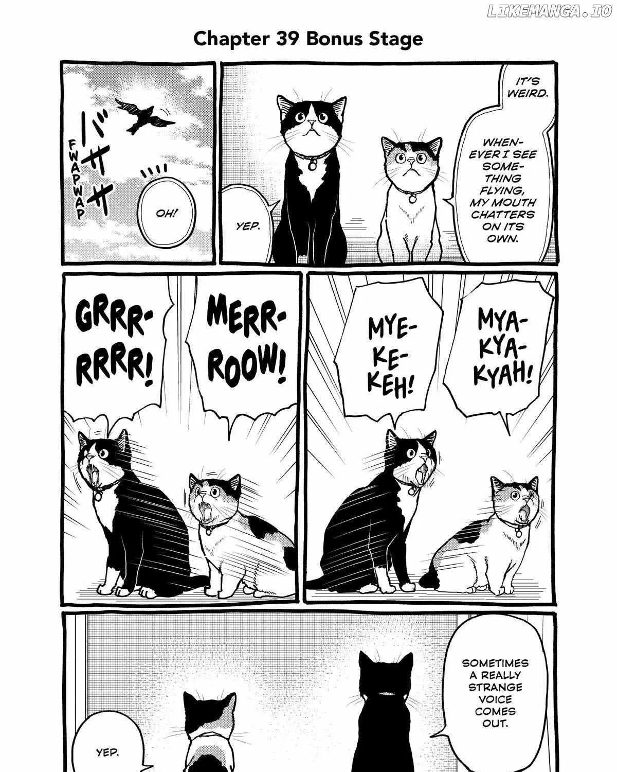 A Gamer Living with a Cat Chapter 39 page 22 - 