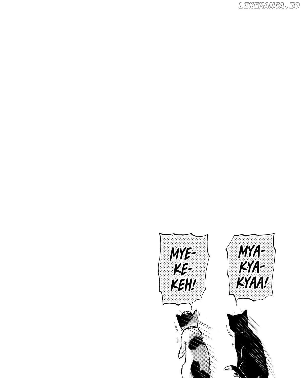 A Gamer Living with a Cat Chapter 39 page 24 - 