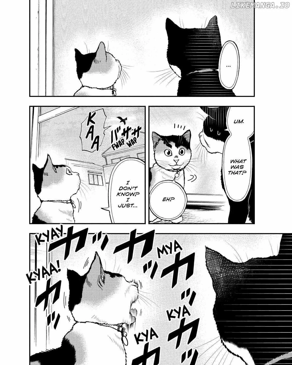 A Gamer Living with a Cat Chapter 39 page 8 - 