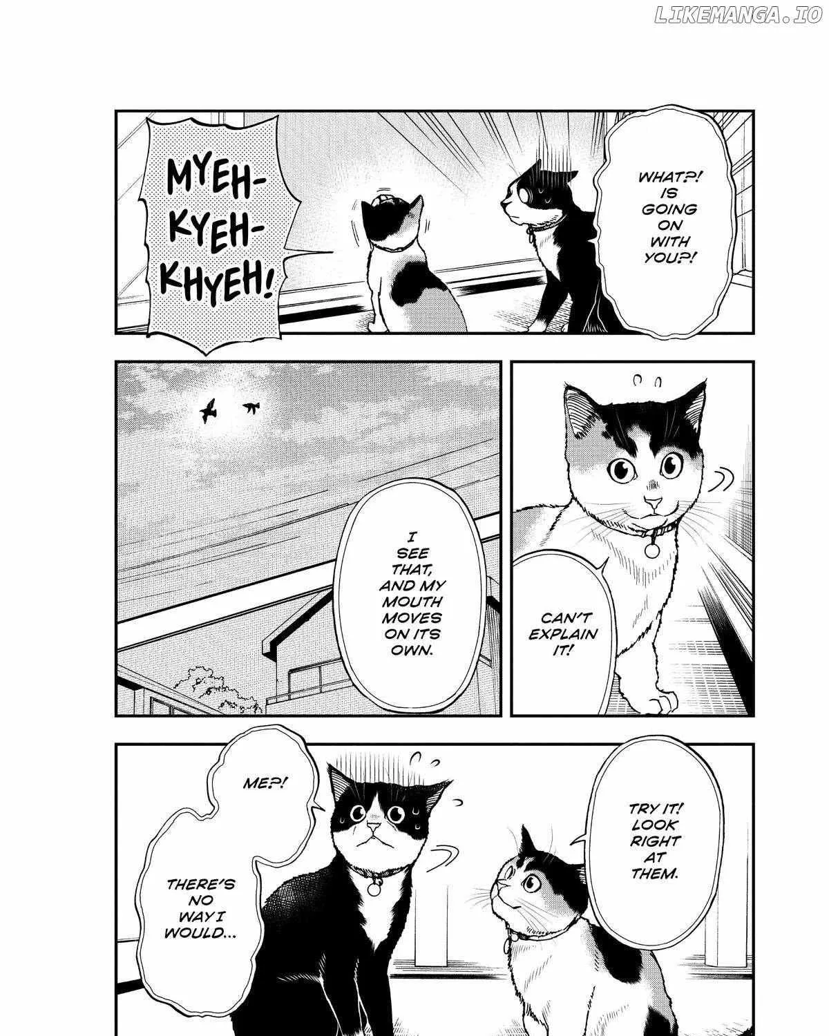 A Gamer Living with a Cat Chapter 39 page 10 - 
