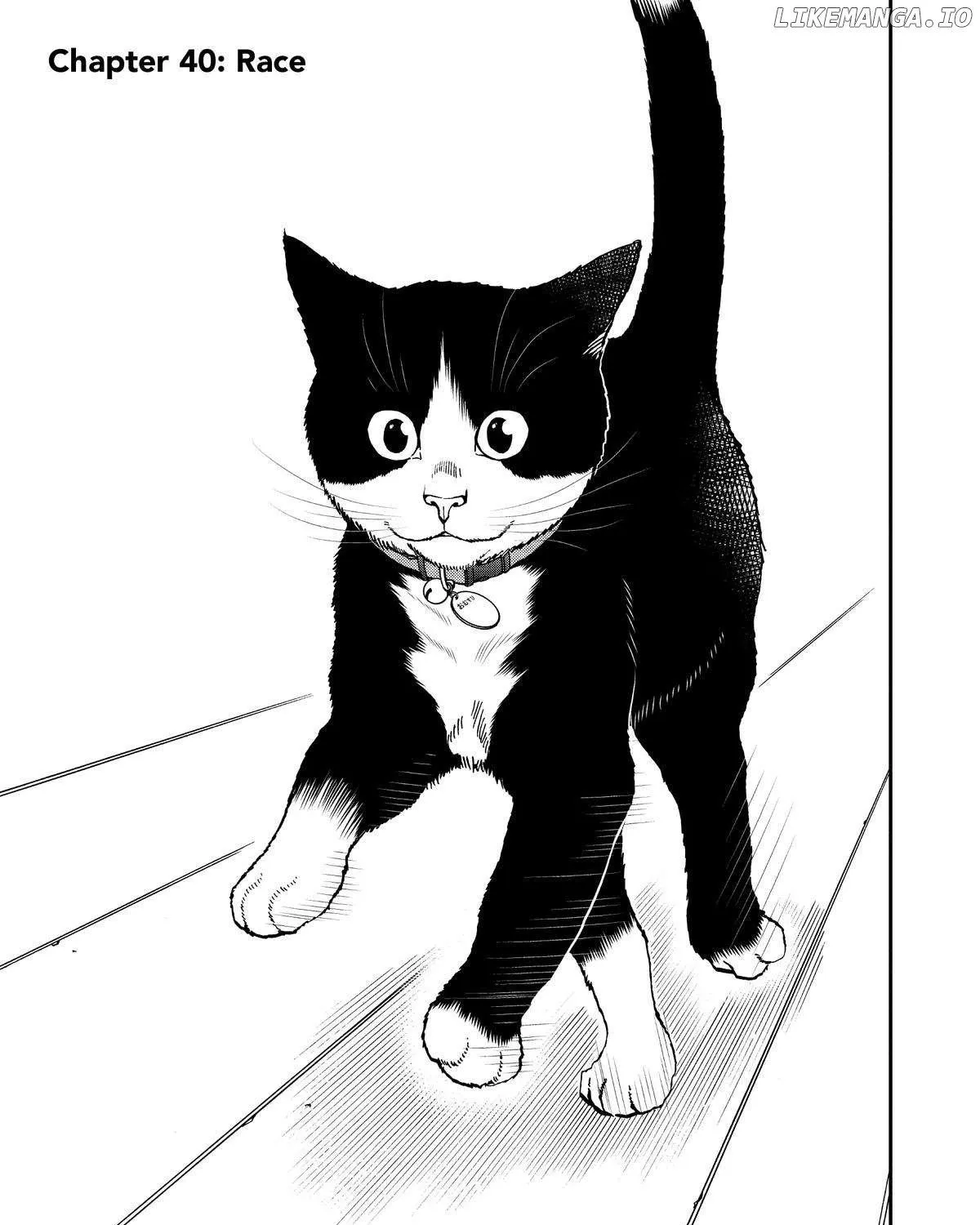 A Gamer Living with a Cat Chapter 40 page 2 - 