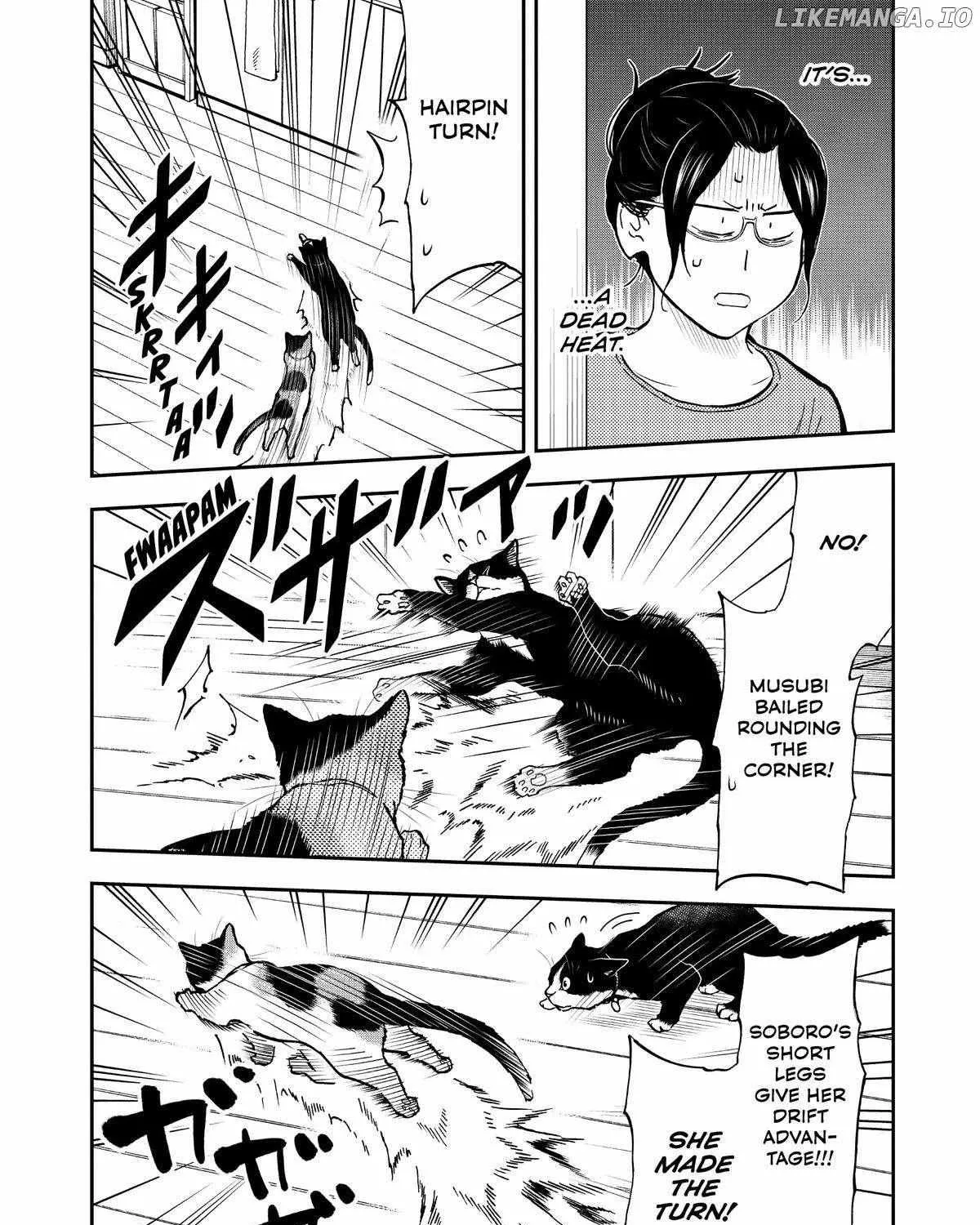 A Gamer Living with a Cat Chapter 40 page 12 - 