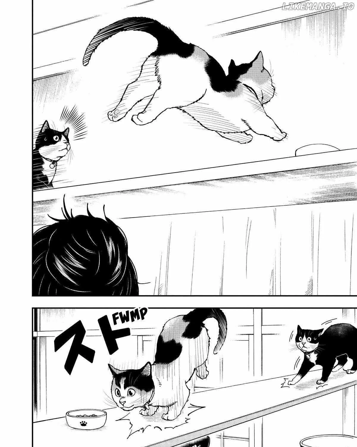 A Gamer Living with a Cat Chapter 40 page 28 - 