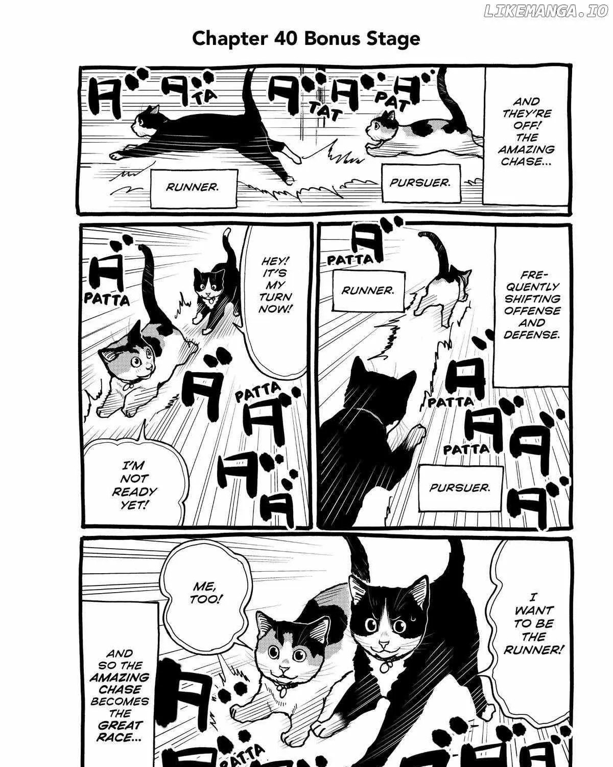 A Gamer Living with a Cat Chapter 40 page 34 - 