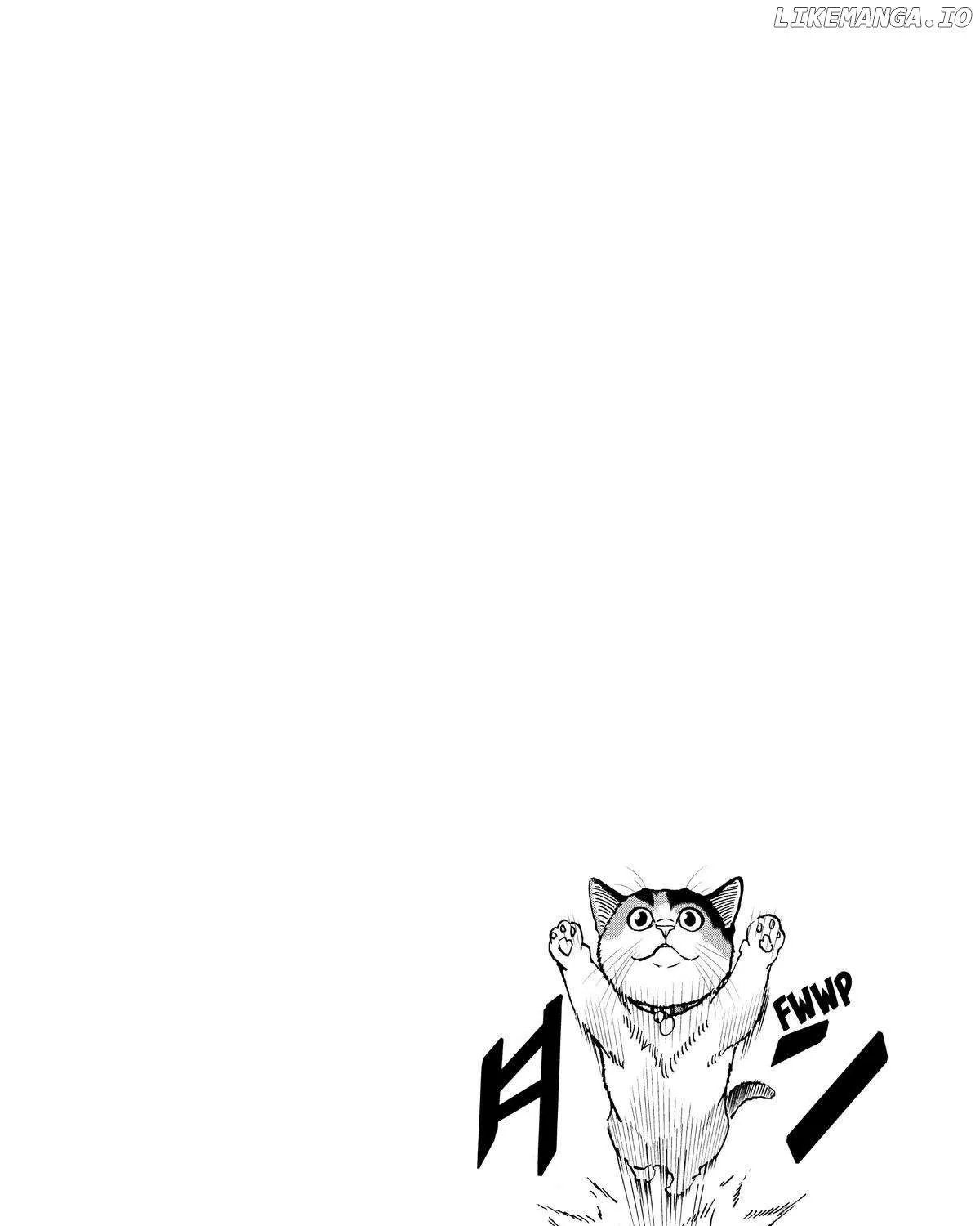 A Gamer Living with a Cat Chapter 40 page 36 - 