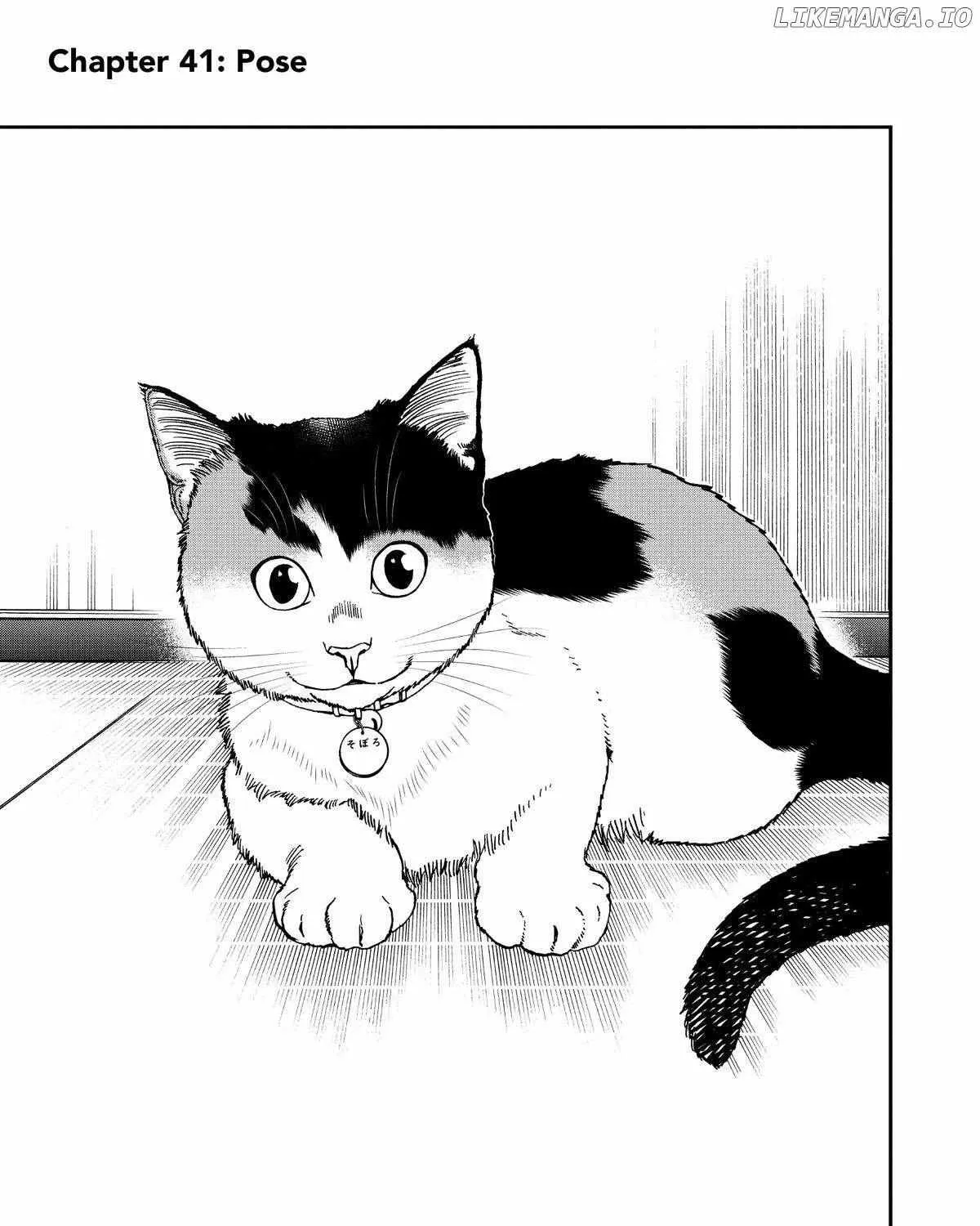 A Gamer Living with a Cat Chapter 41 page 2 - 