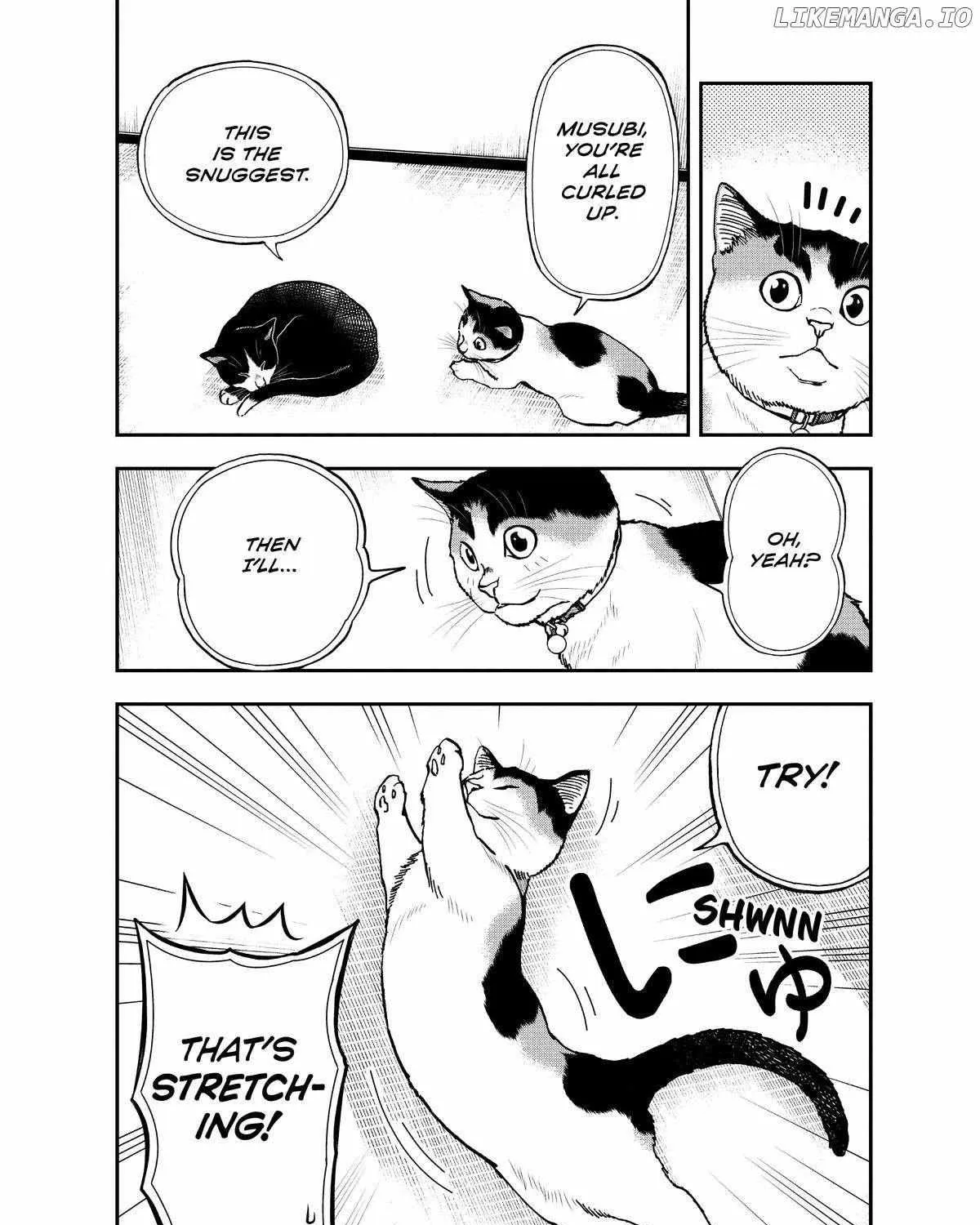 A Gamer Living with a Cat Chapter 41 page 16 - 
