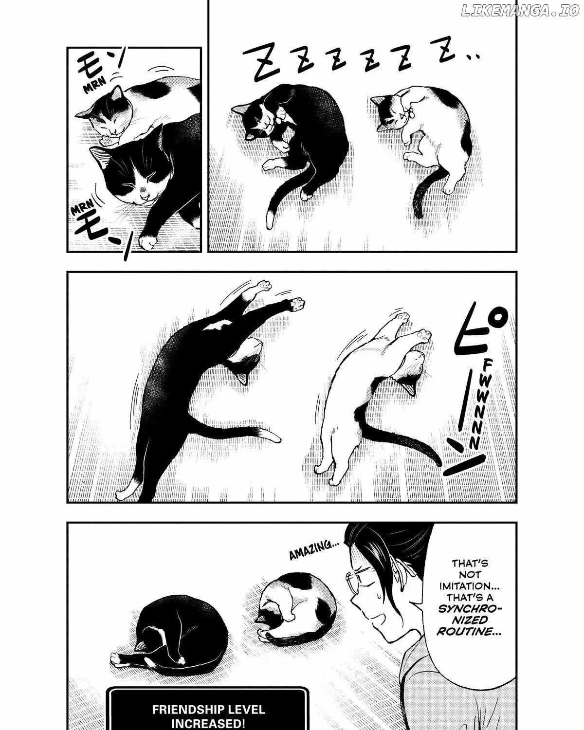 A Gamer Living with a Cat Chapter 41 page 20 - 