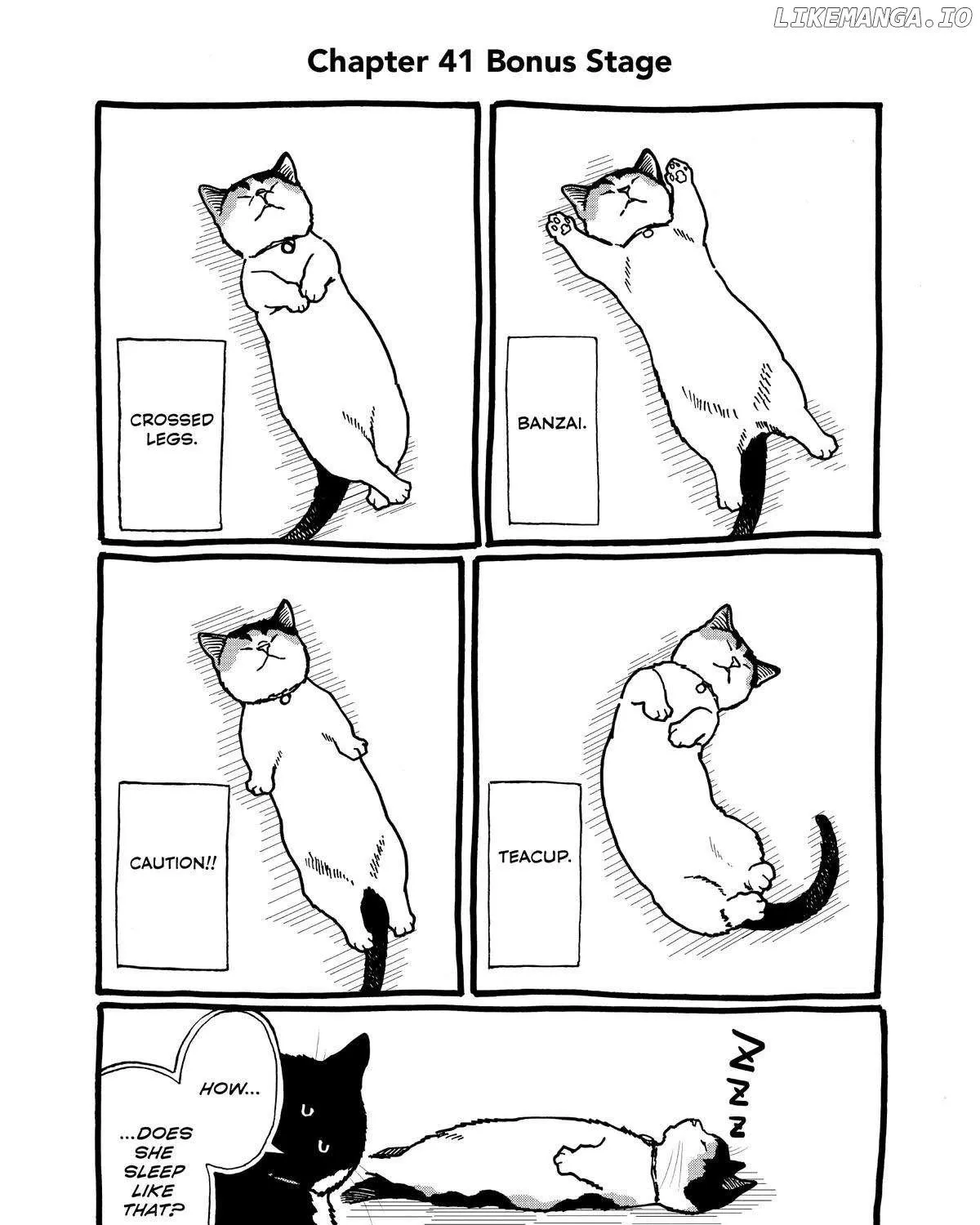 A Gamer Living with a Cat Chapter 41 page 22 - 