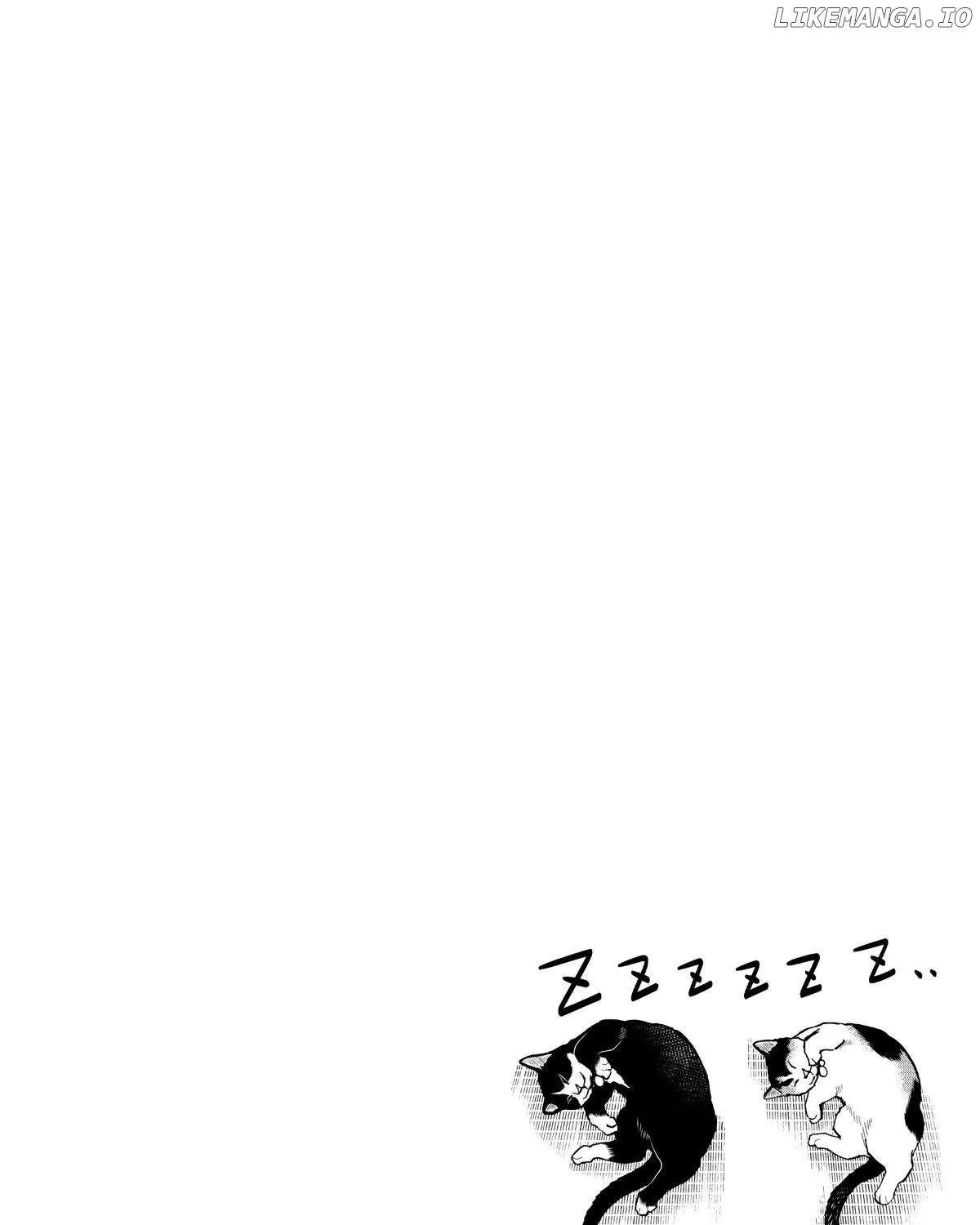 A Gamer Living with a Cat Chapter 41 page 24 - 