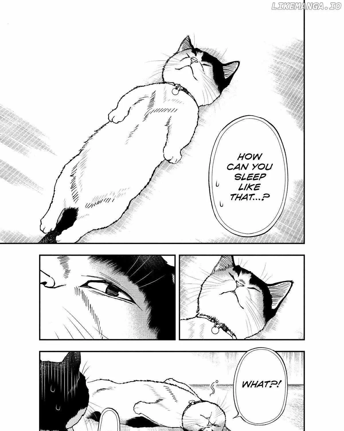 A Gamer Living with a Cat Chapter 41 page 6 - 