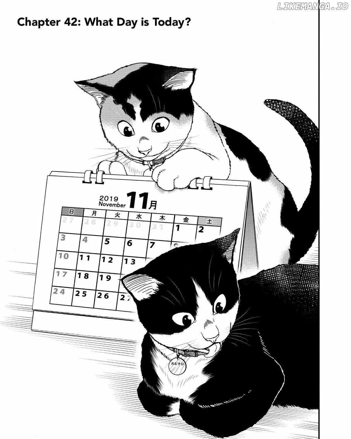 A Gamer Living with a Cat Chapter 42 page 1 - 