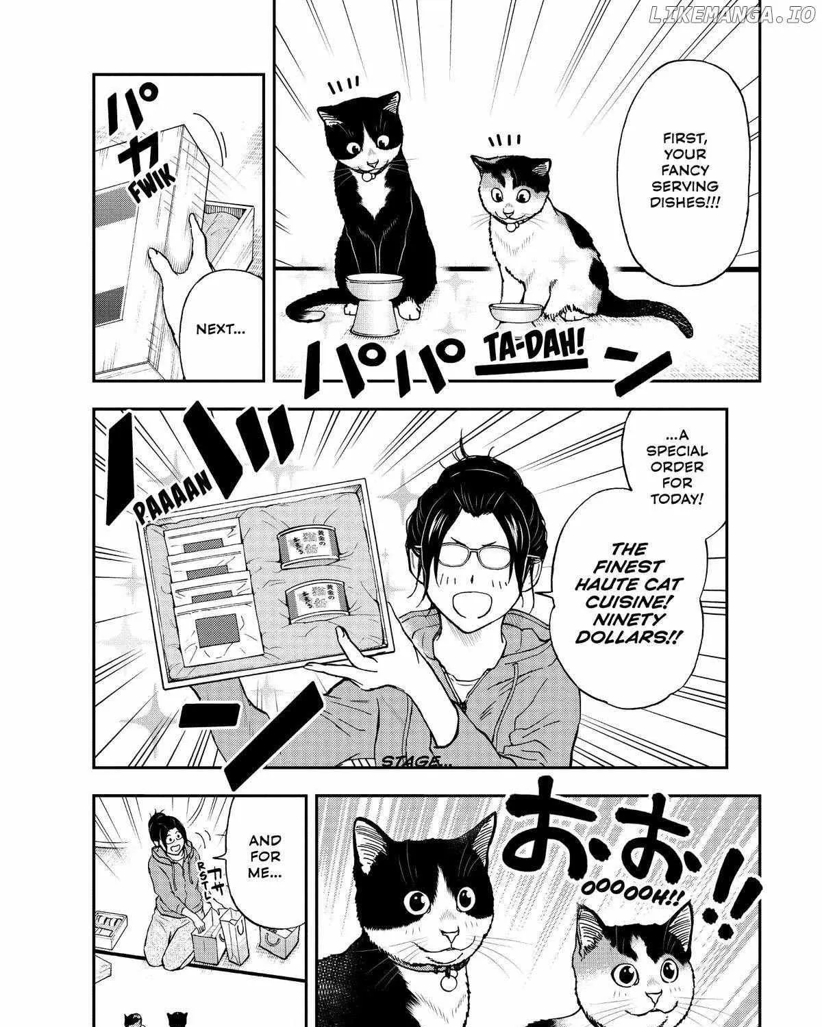 A Gamer Living with a Cat Chapter 42 page 15 - 