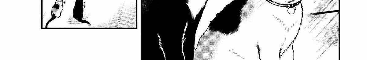 A Gamer Living with a Cat Chapter 42 page 16 - 