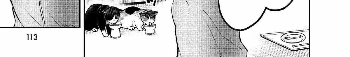 A Gamer Living with a Cat Chapter 42 page 22 - 