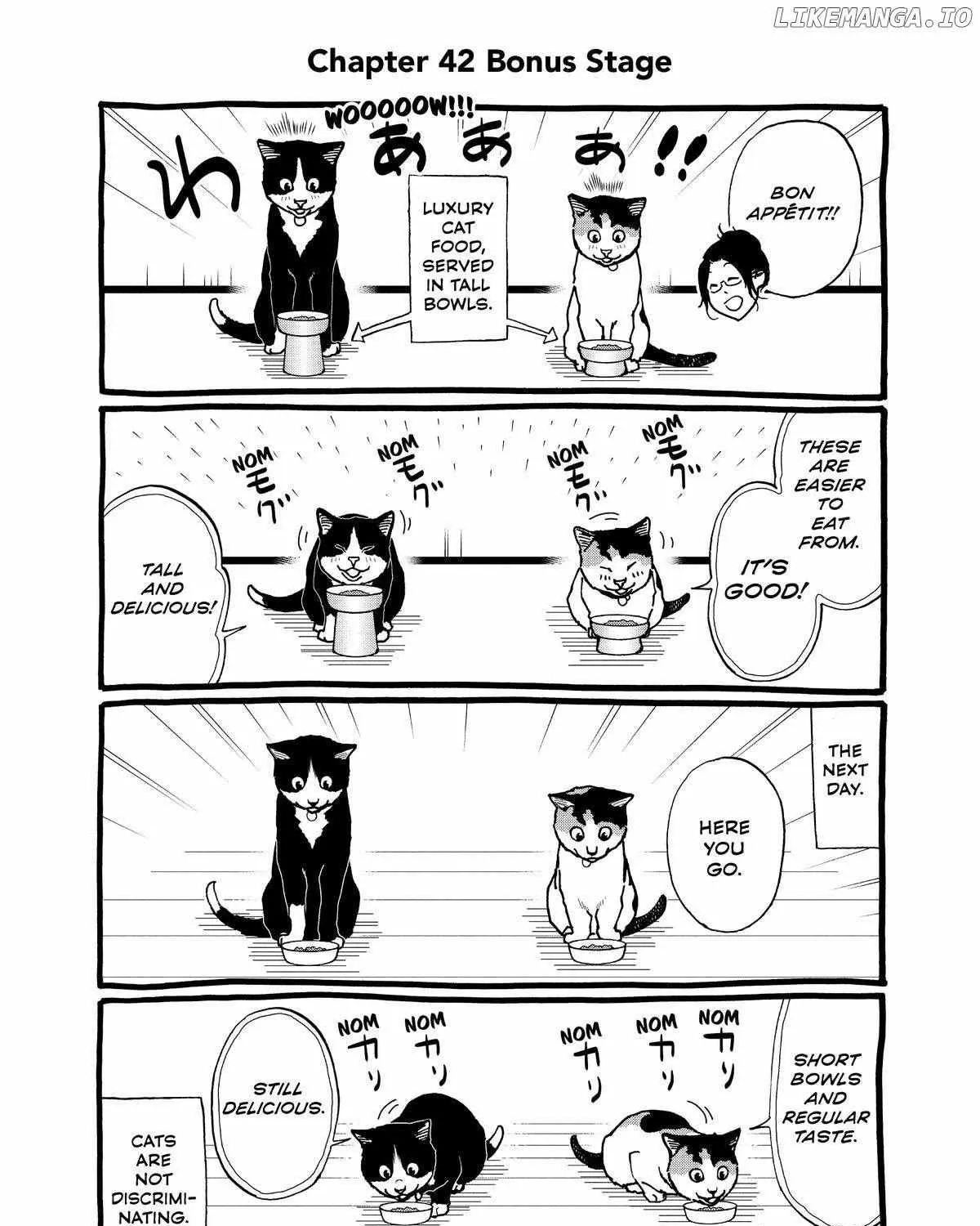 A Gamer Living with a Cat Chapter 42 page 37 - 