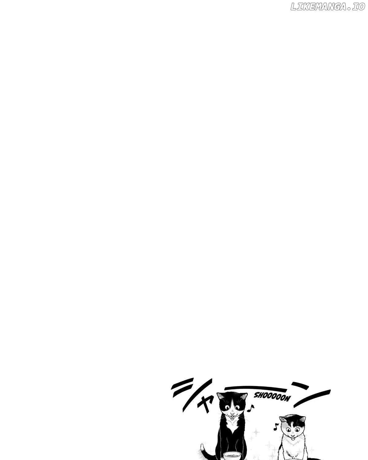 A Gamer Living with a Cat Chapter 42 page 39 - 