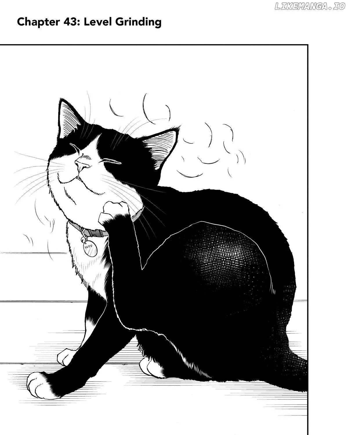 A Gamer Living with a Cat Chapter 43 page 2 - 