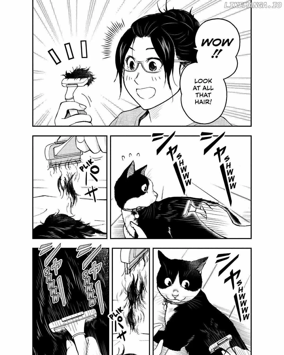 A Gamer Living with a Cat Chapter 43 page 16 - 