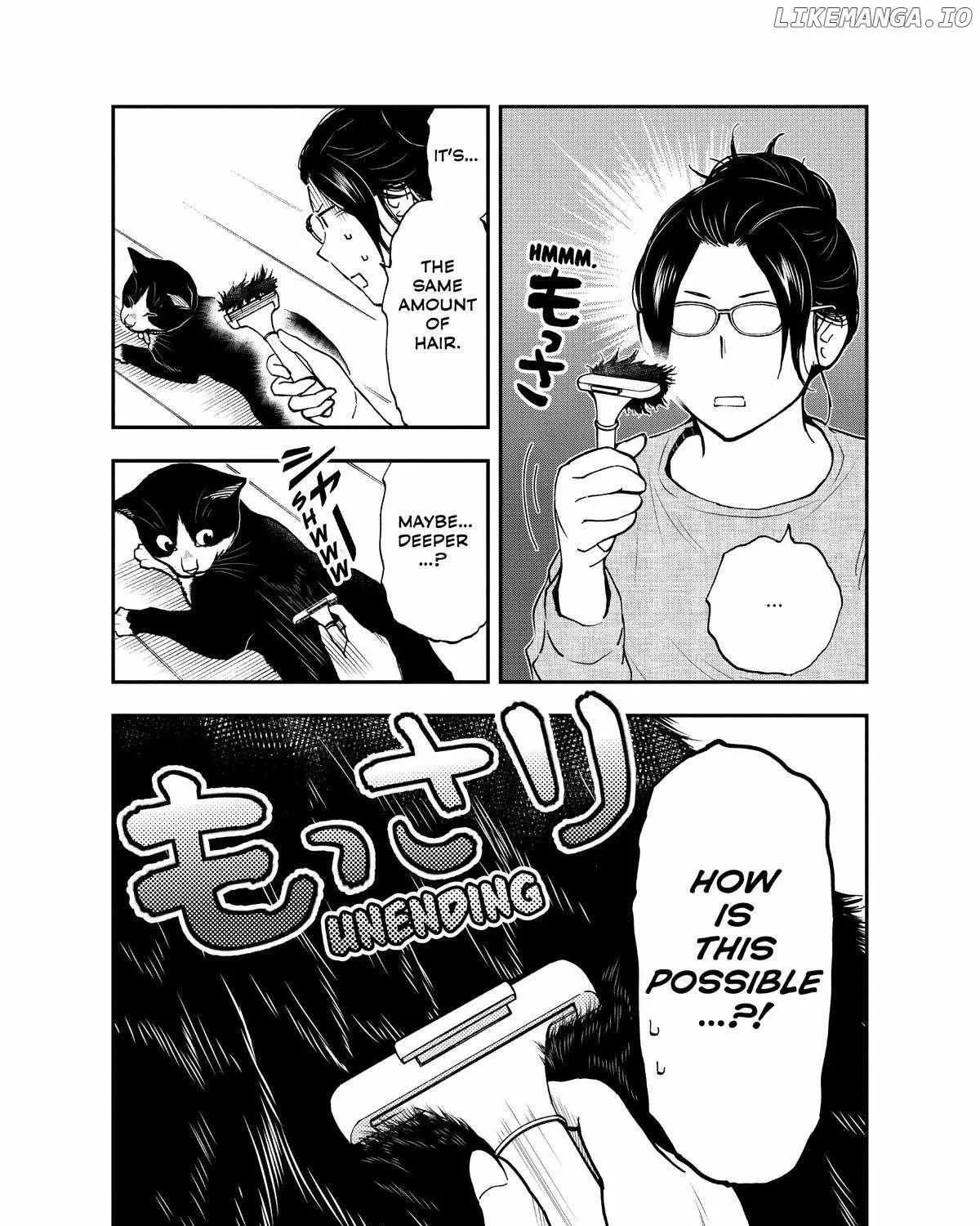 A Gamer Living with a Cat Chapter 43 page 18 - 