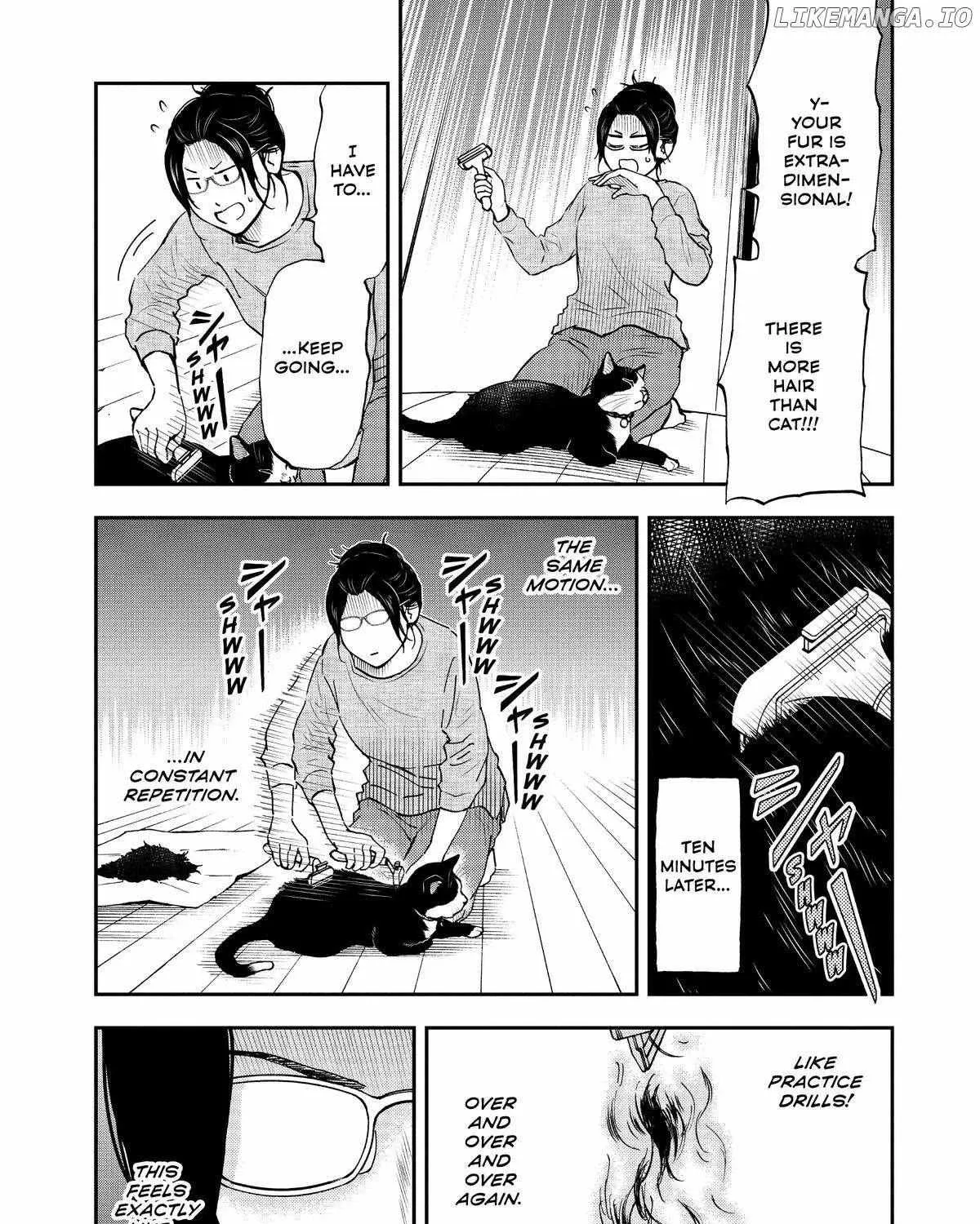 A Gamer Living with a Cat Chapter 43 page 20 - 