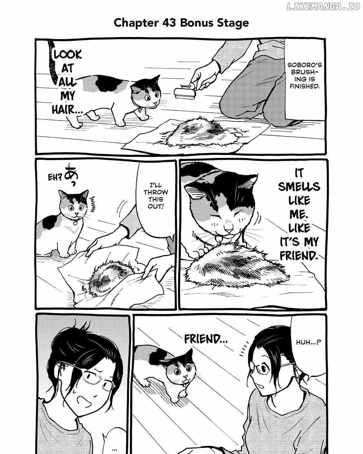 A Gamer Living with a Cat Chapter 43 page 30 - 