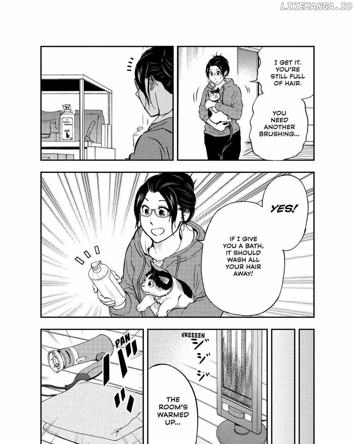 A Gamer Living with a Cat Chapter 44 page 12 - 
