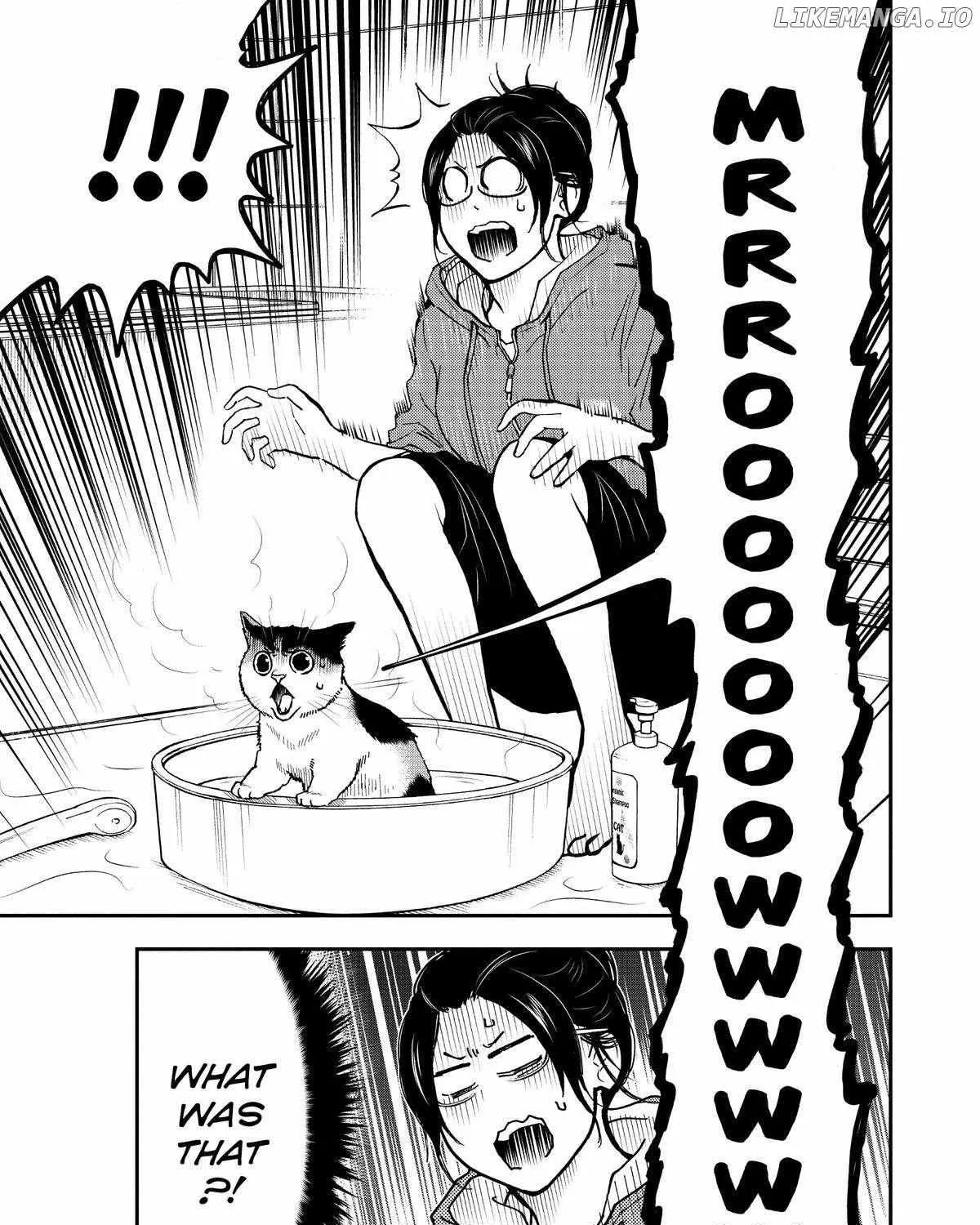 A Gamer Living with a Cat Chapter 44 page 18 - 