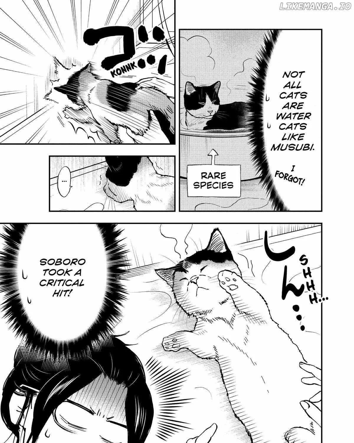 A Gamer Living with a Cat Chapter 44 page 22 - 