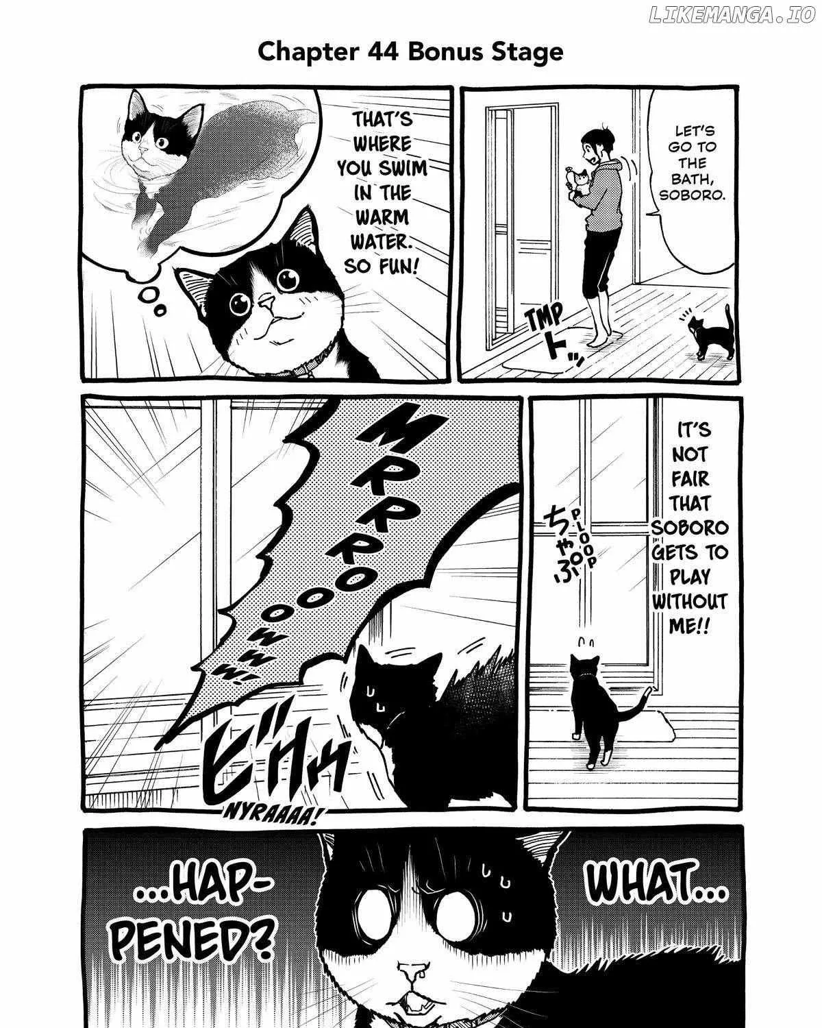 A Gamer Living with a Cat Chapter 44 page 30 - 