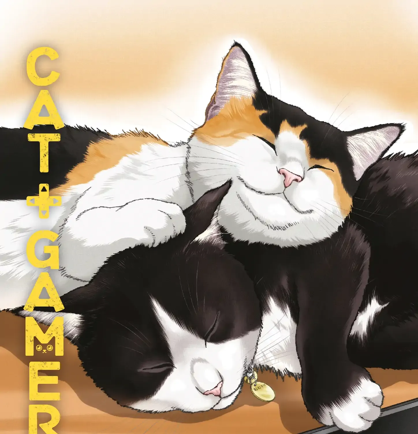 A Gamer Living with a Cat Chapter 45 page 2 - 