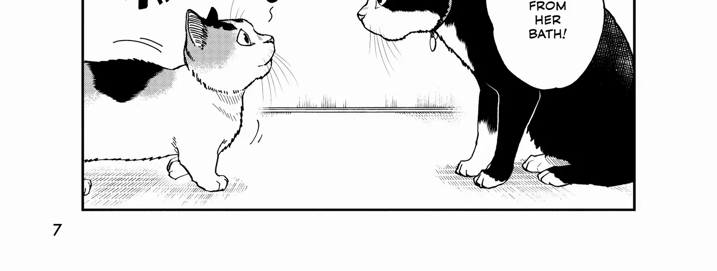 A Gamer Living with a Cat Chapter 45 page 17 - 
