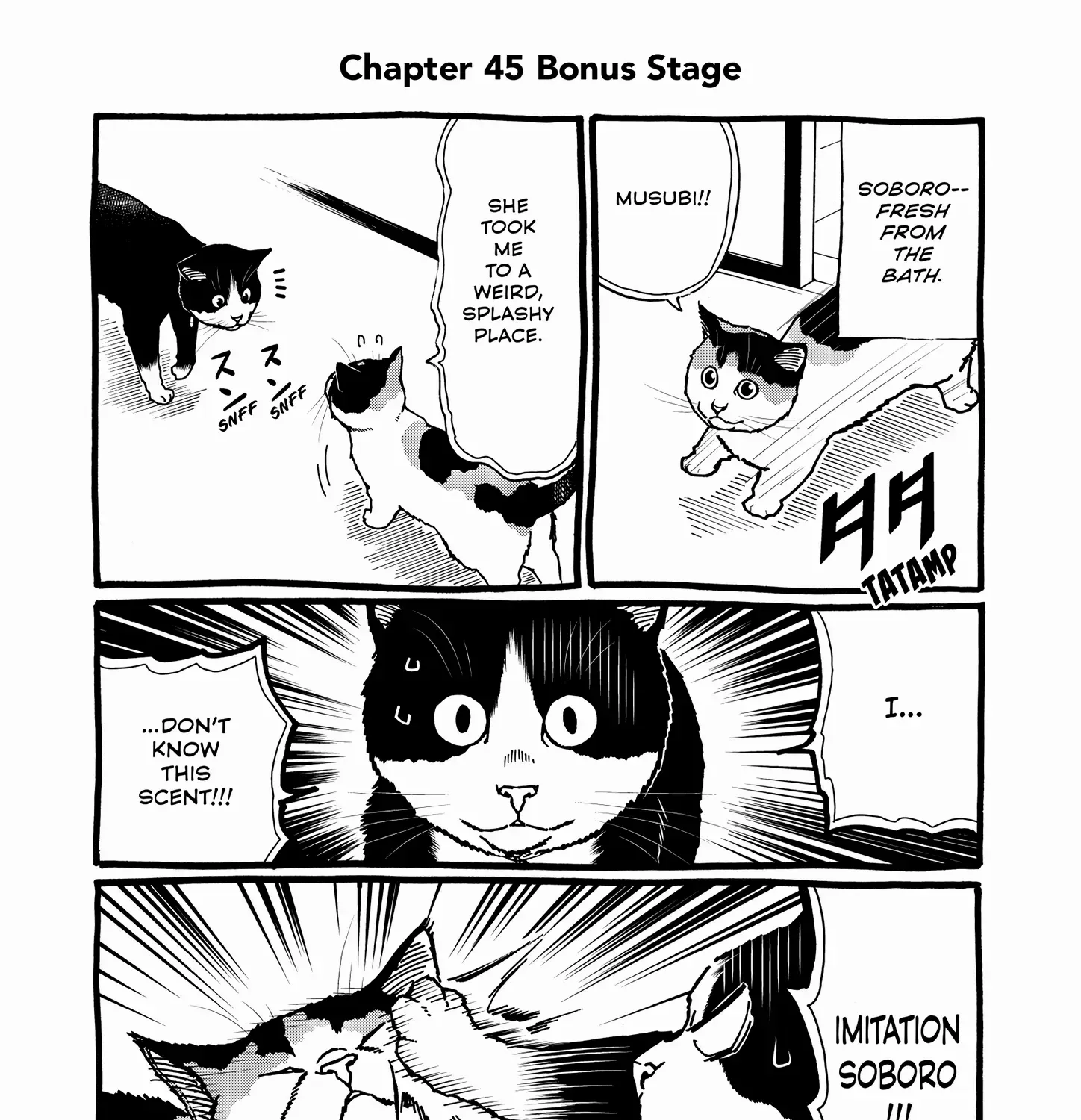 A Gamer Living with a Cat Chapter 45 page 36 - 