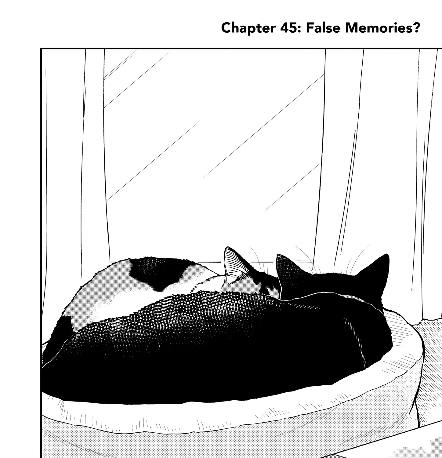 A Gamer Living with a Cat Chapter 45 page 10 - 