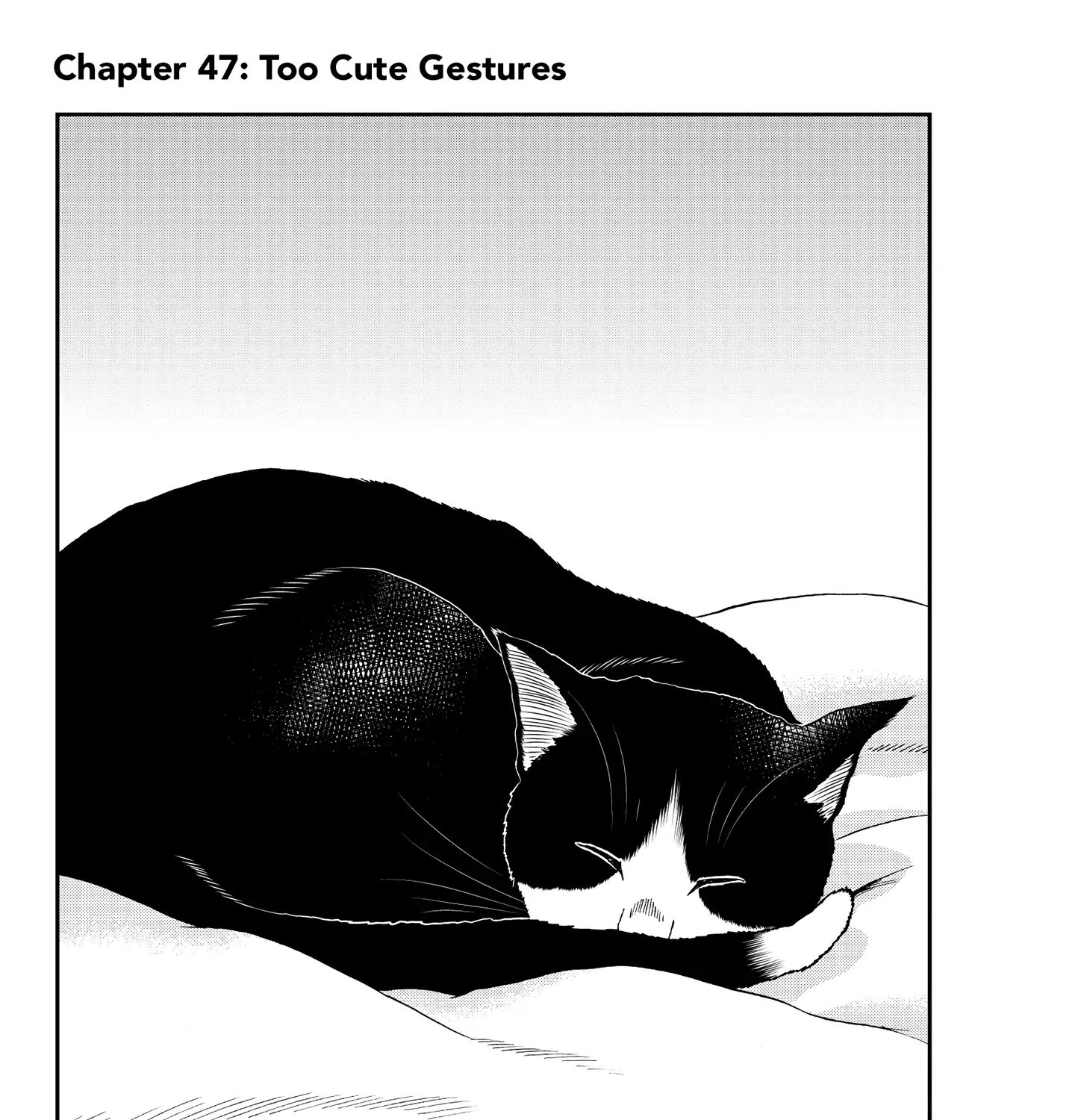 A Gamer Living with a Cat Chapter 47 page 2 - 