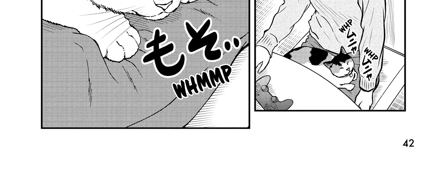 A Gamer Living with a Cat Chapter 47 page 17 - 