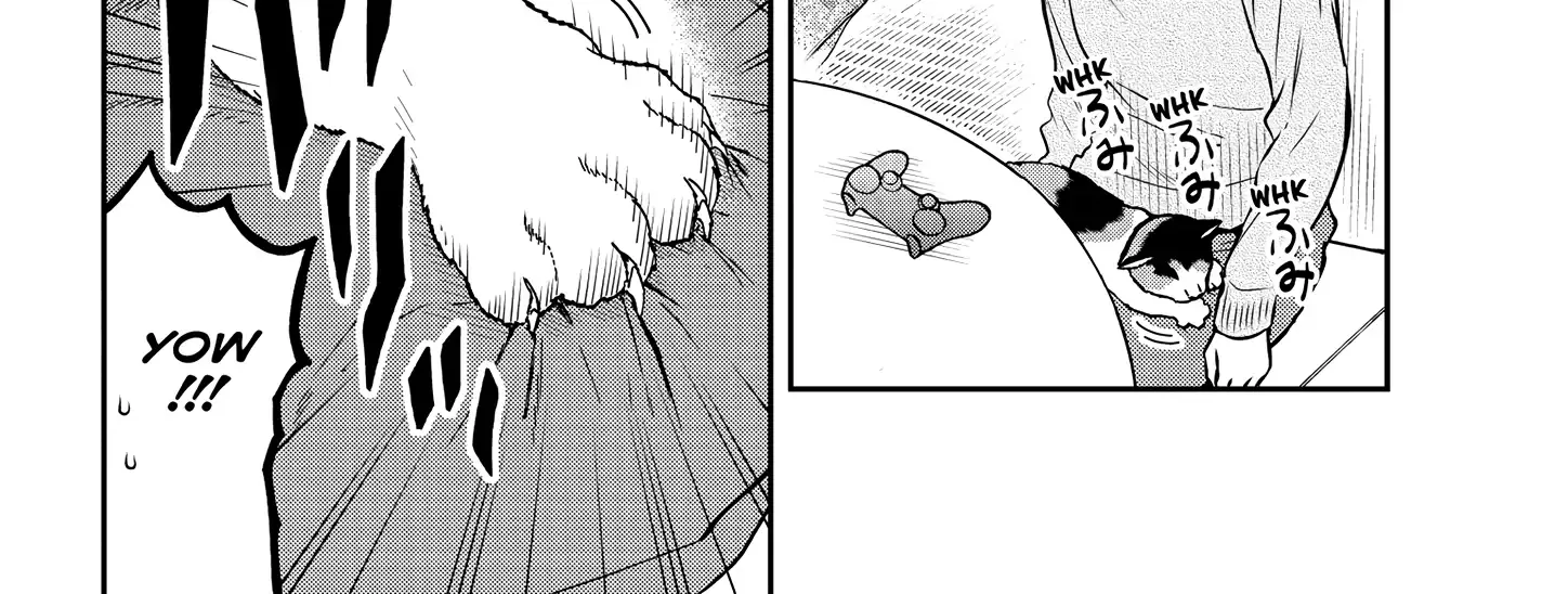 A Gamer Living with a Cat Chapter 47 page 19 - 