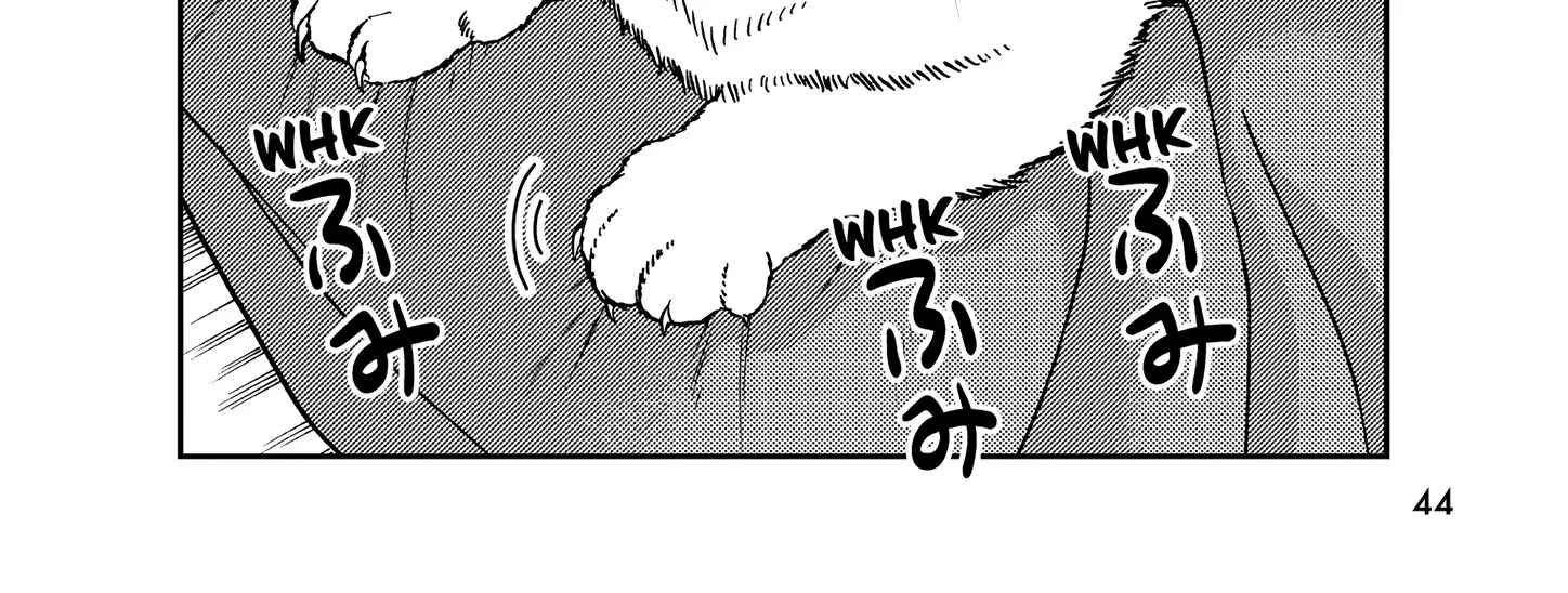 A Gamer Living with a Cat Chapter 47 page 21 - 